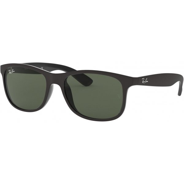 Ray-Ban Andy RB4202-606971-55