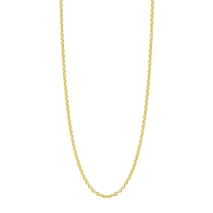 Gouden Jasseron collier NC17-34-03045