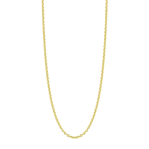 Gouden Jasseron collier NC17-34-03045